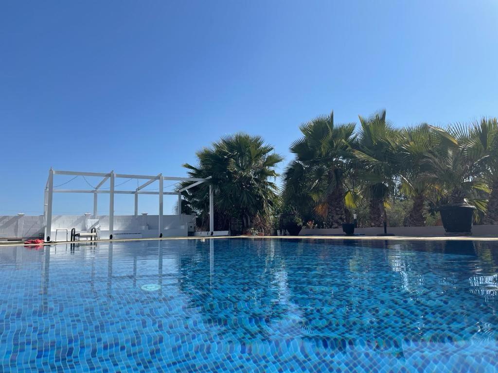 The Pervoli Studio - Pool - Close To Beach ラルナカ エクステリア 写真