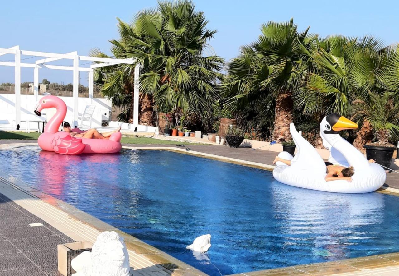 The Pervoli Studio - Pool - Close To Beach ラルナカ エクステリア 写真